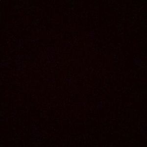 Meet your Posher, Jake